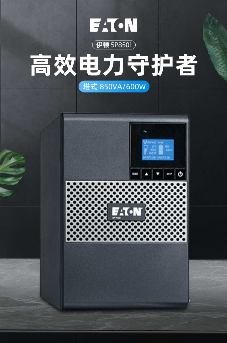 详情-01.jpg